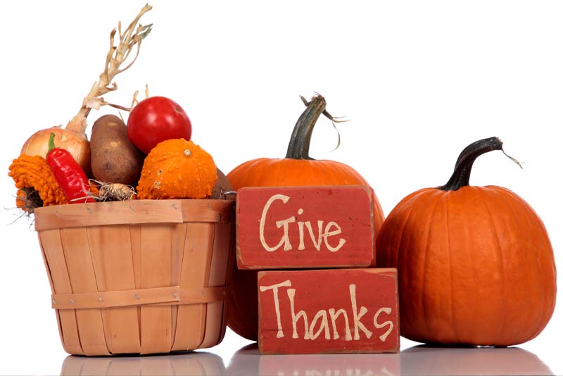 Holiday give thanks pumpkin image